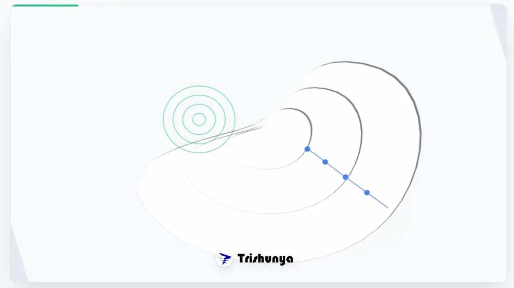 Rtk Kinematic Survey Multiple Points Field