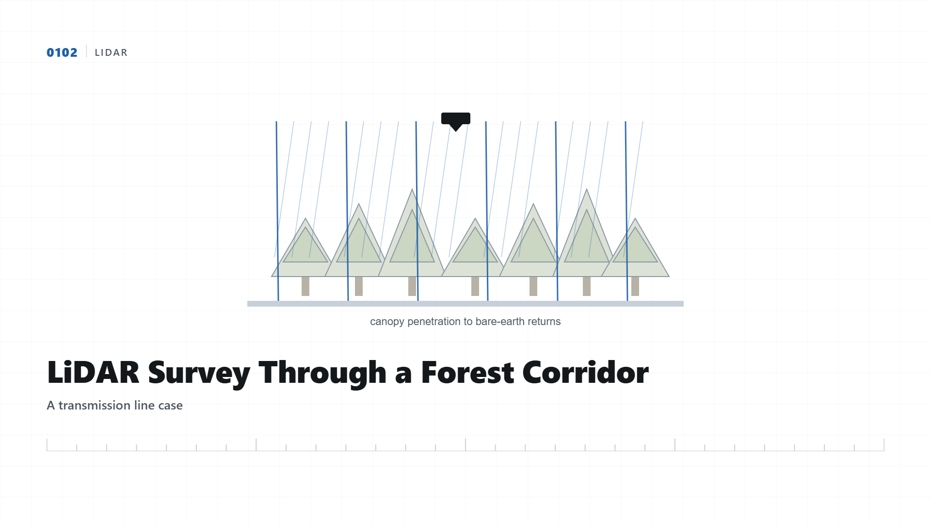 LiDAR Survey Through a Forest Corridor: A Transmission Line Case