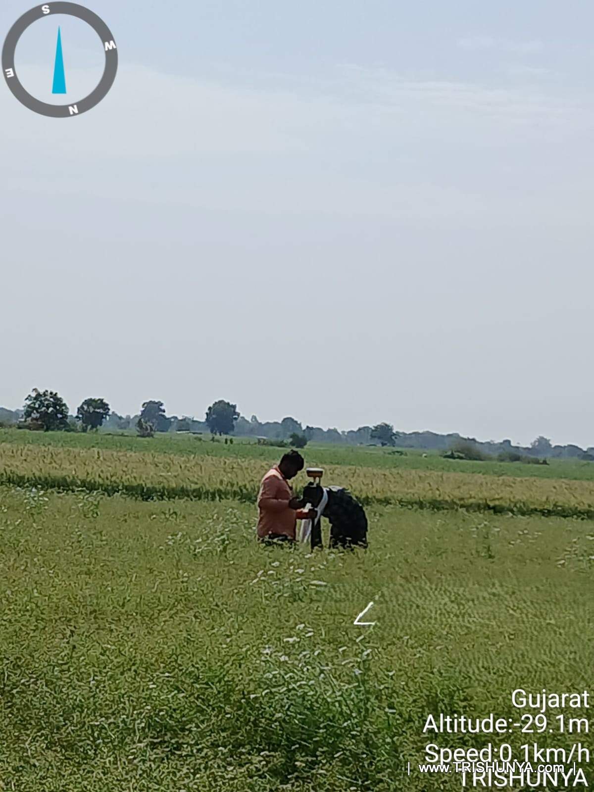 Survey operator and assistant capturing land survey points inside a dense crop field for transmission line corridor