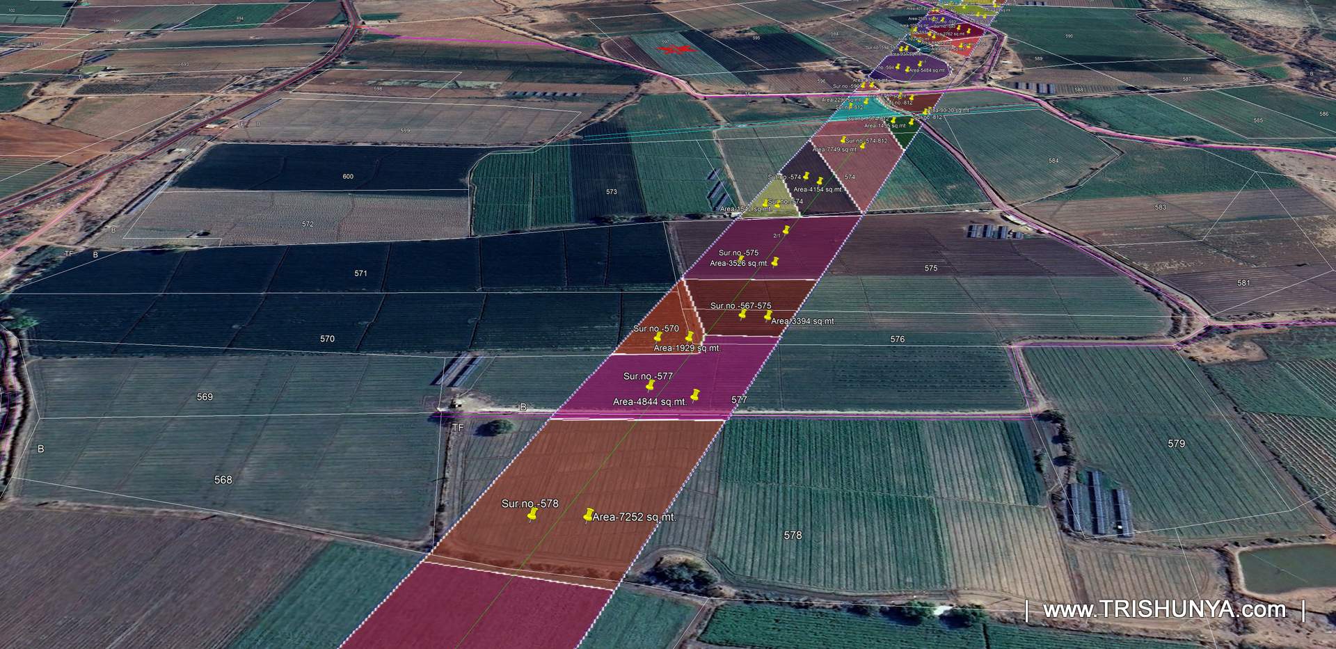 KMZ screenshot showing survey number wise land parcels overlapped by transmission line corridor, part 3