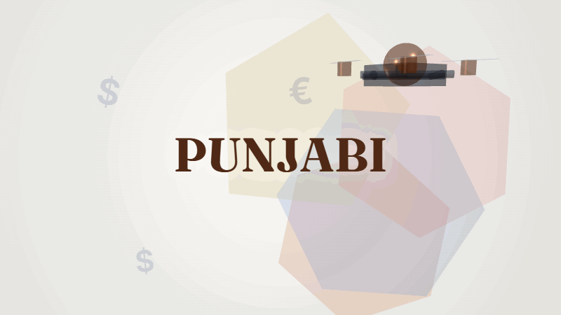 ਡਰੋਨ ਸਰਵੇ ਦੀ ਕੀਮਤ ਕਿੰਨੀ? ਪੂਰਾ ਹਿਸਾਬ ਇੱਥੇ