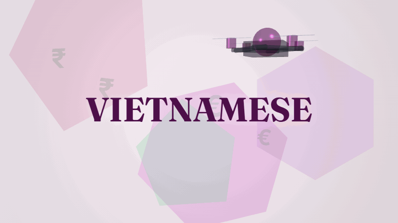 Drone Survey Rate Chart Vietnamese Trishunya