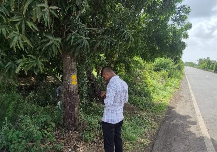 Tree Enumeration Survey Cost in India: Rates by Tree Density