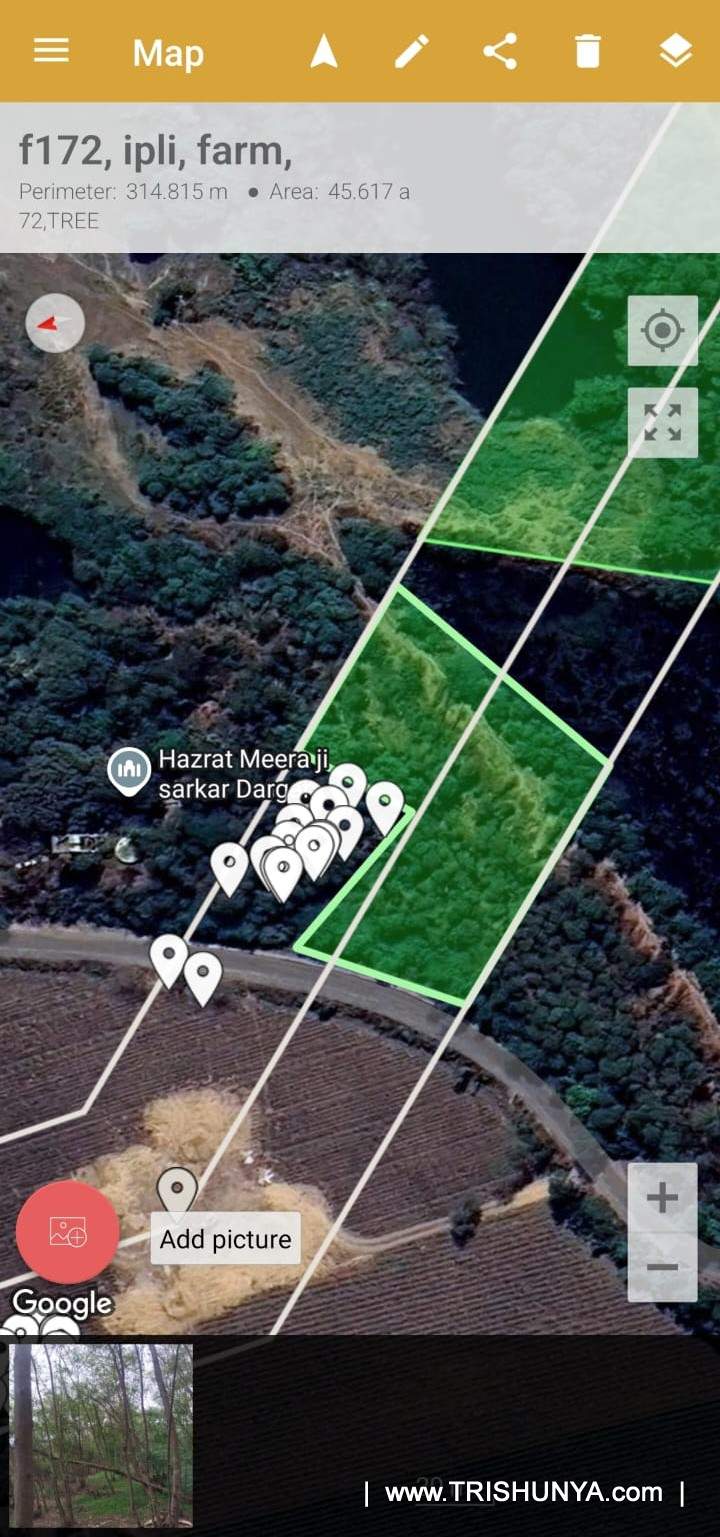 Mobile app screenshot showing marked tree points and survey area during tree enumeration data collection