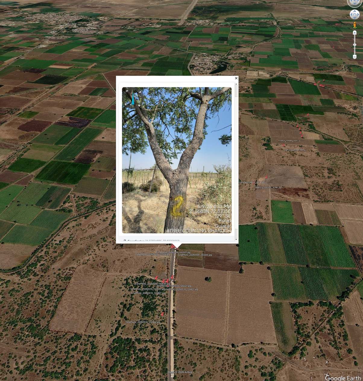 Second view of transmission line corridor route used for planning tree enumeration survey coverage