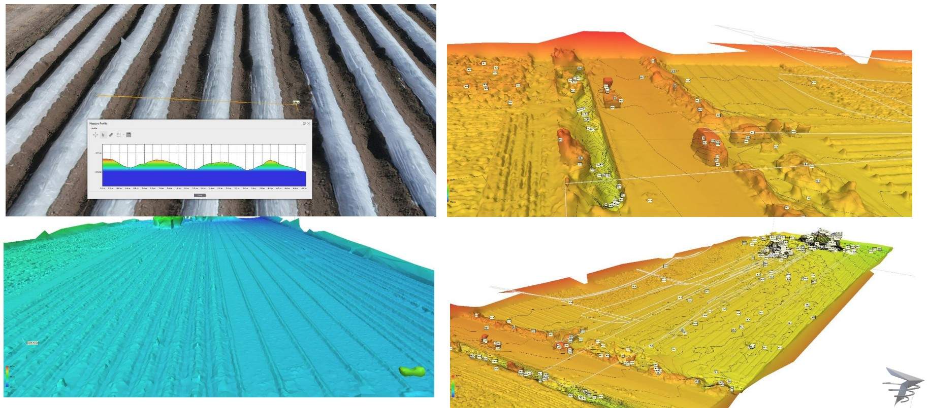 DTM bare earth digital terrain model showing ground surface without vegetation