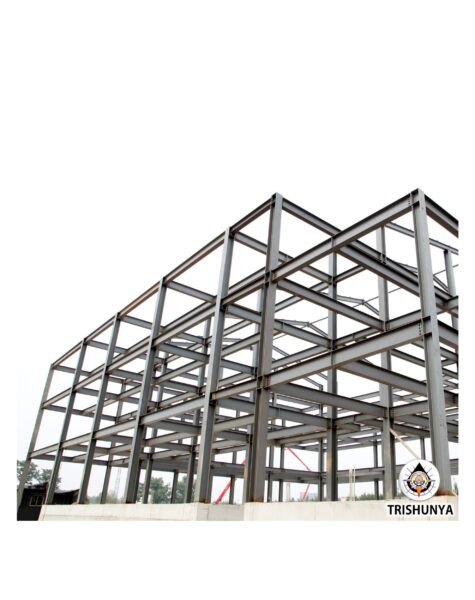 Steel Building - Structure - trishunya